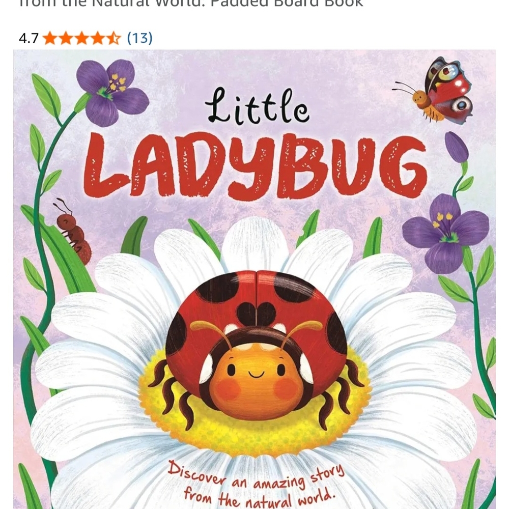 Little Ladybug Padded Board Book